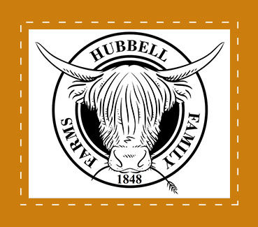 logo with orange background